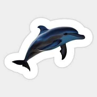 Silky Dolphin Sticker